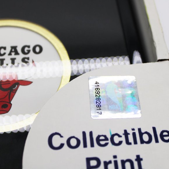 KRSI Limited Edition Original Art Lithograph Chicago Bulls Dennis Rodman - Picture 2 of 4